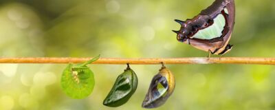 assets/images/4/Header_Change-Managem-979fabdd.jpg